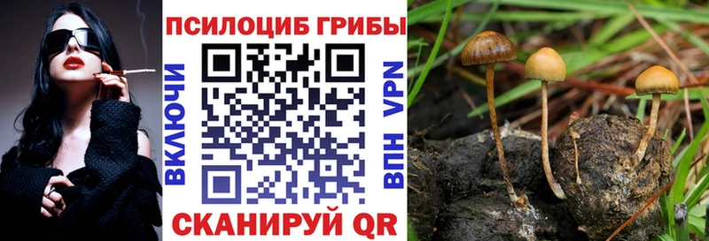 Галлюциногенные грибы MAGIC MUSHROOMS Котельниково